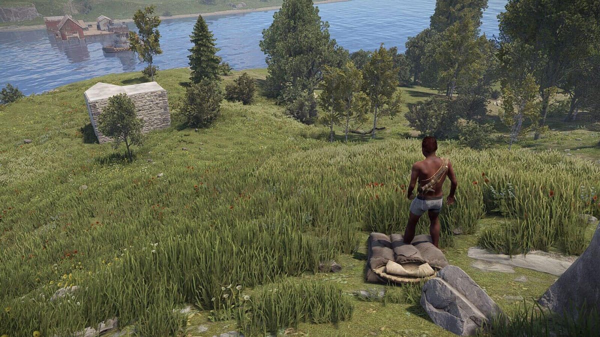 A new world in Rust, after wipe day.